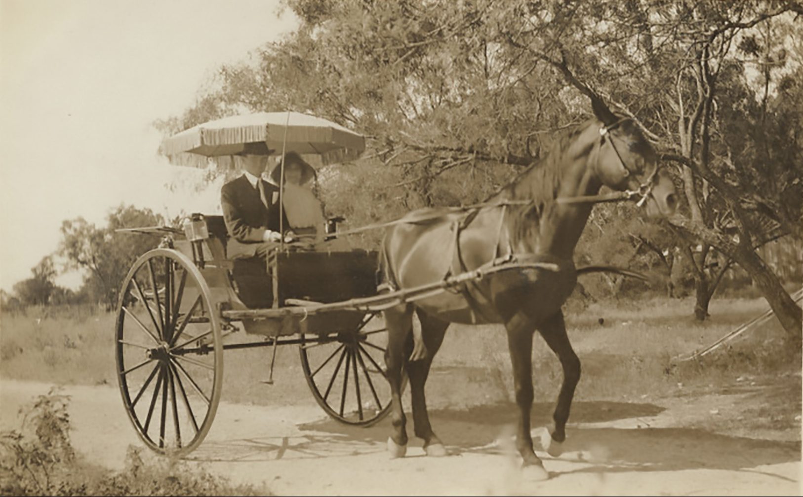 Couple in a horse-drawn buggy